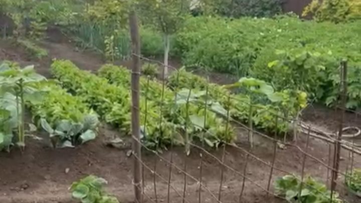 Tegh Village has a Modernized Irrigation System